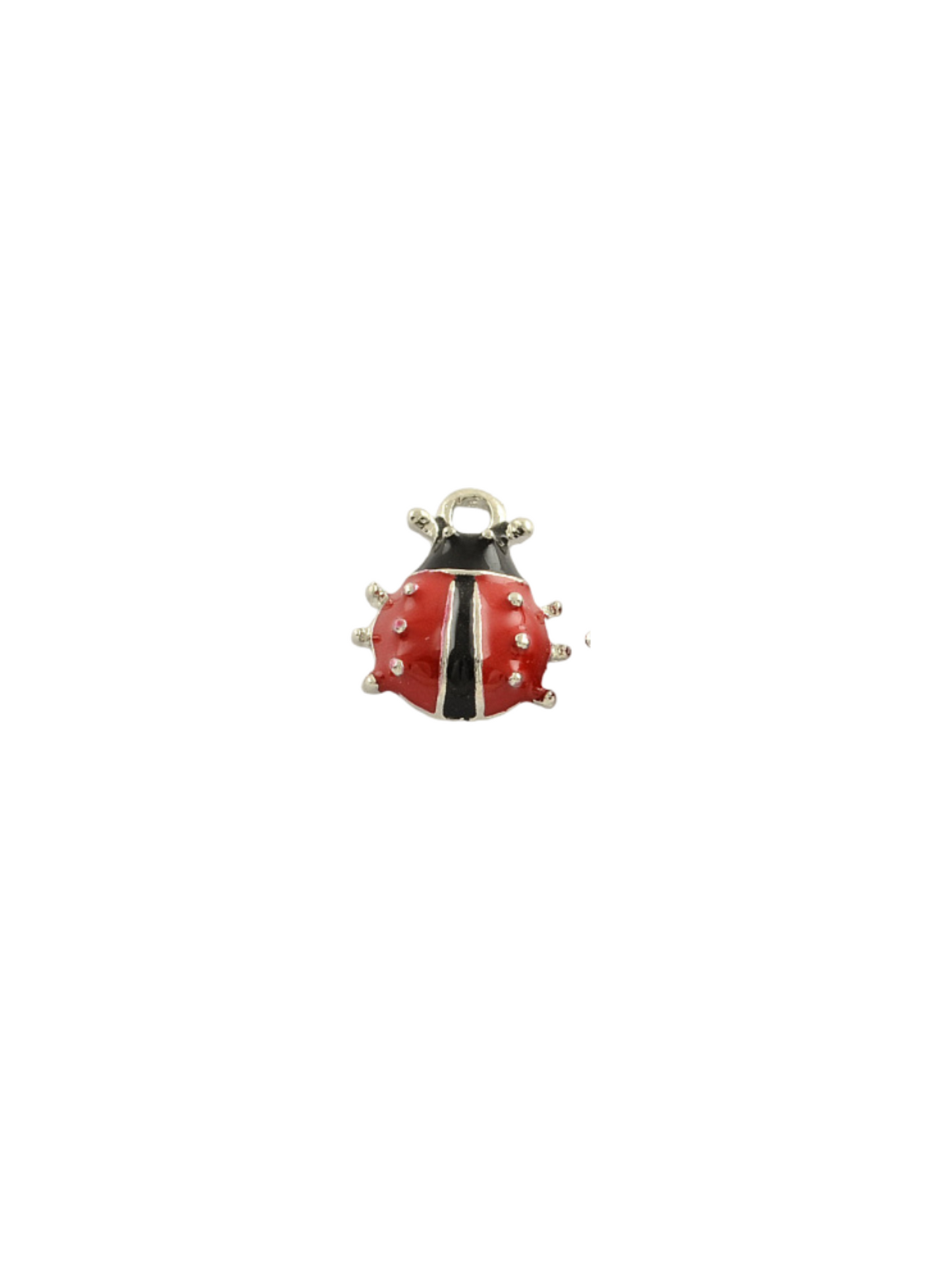 Front of the Silver Ladybug Charm
