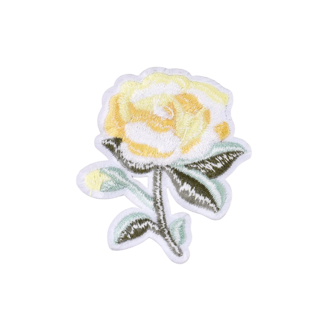Back View of the Yellow Rose Flower Patch