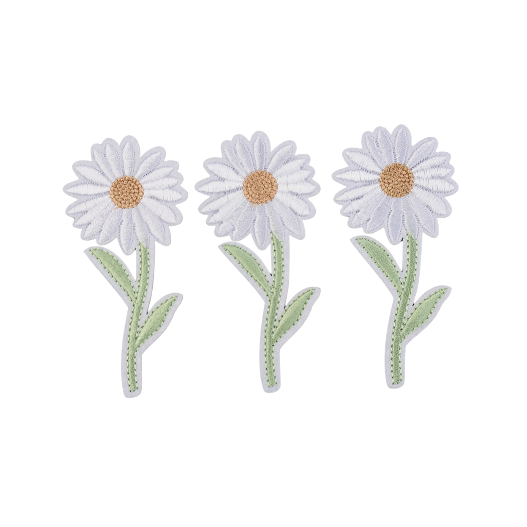 Front View of Three Daisy Flower Patch - White