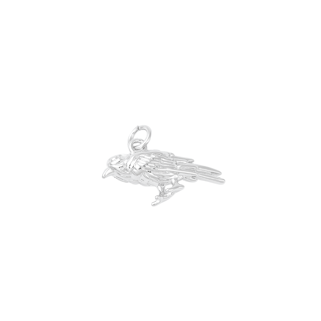 Side view of the Silver Raven Charm
