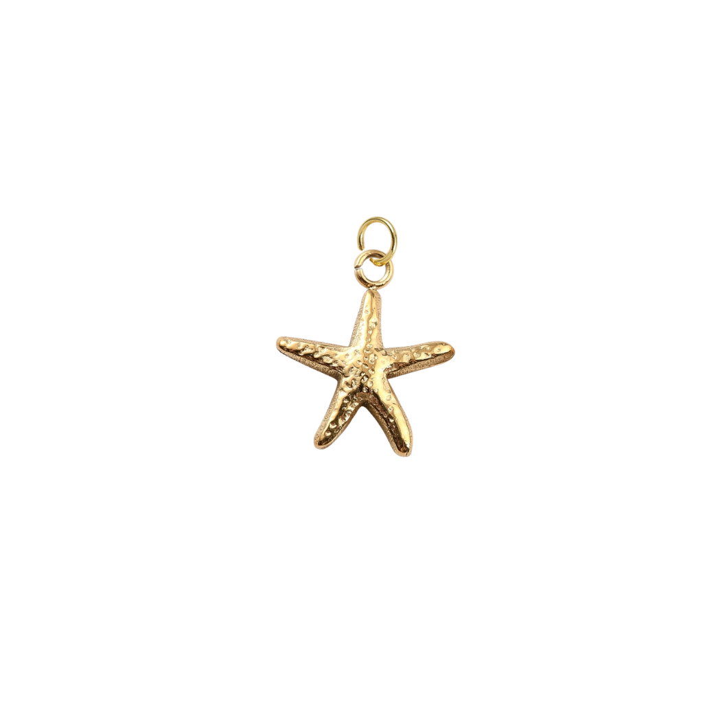 Gold Hammered Starfish Shell Charm | Waterproof Stainless Steel on a transparent background