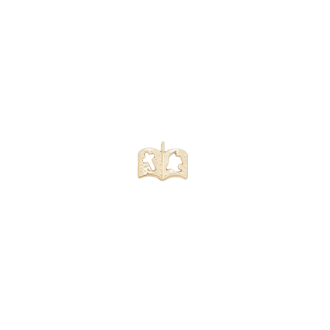 Gold Open Holy Bible Charm on transparent background 