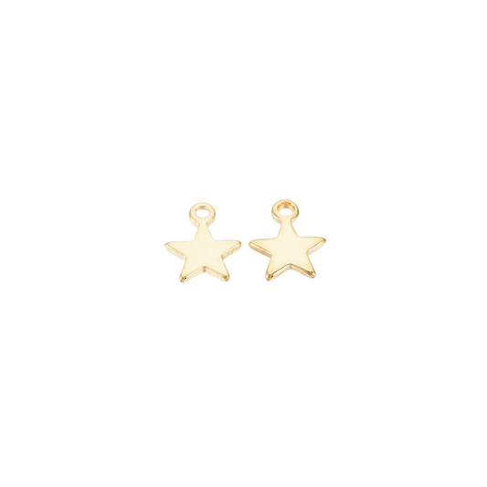 Gold Tiny Star Charm