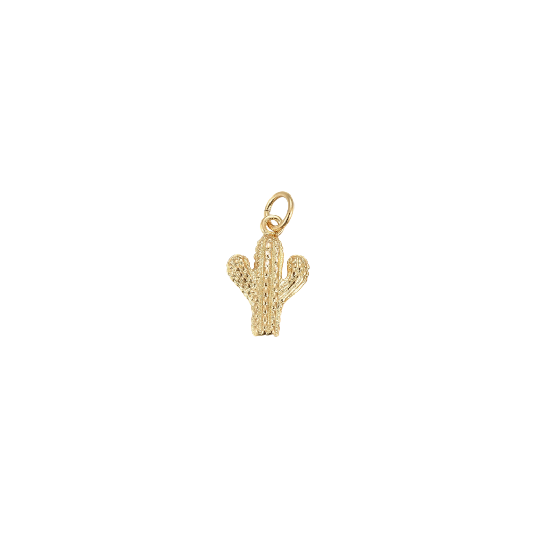 Front of Gold Cactus Cutie Charm