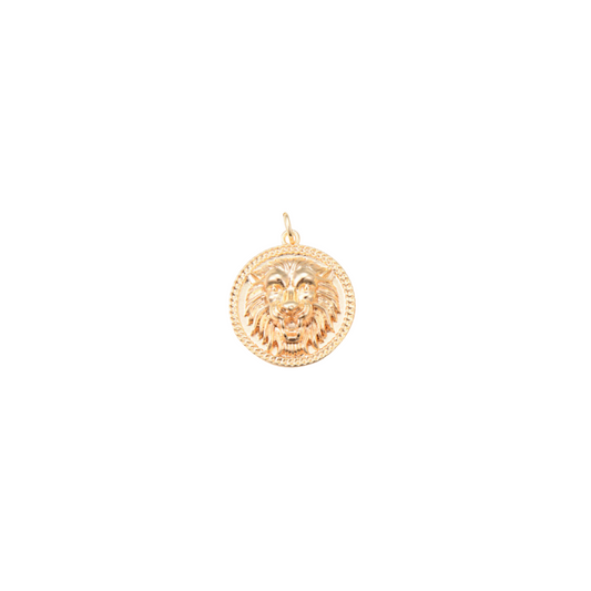 Front of the Gold Let Me Hear You Roar Lion Charm