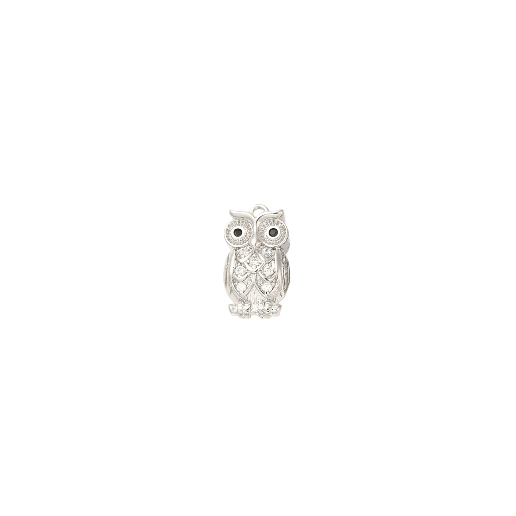 Front of Silver Owl Always Love You Charm
