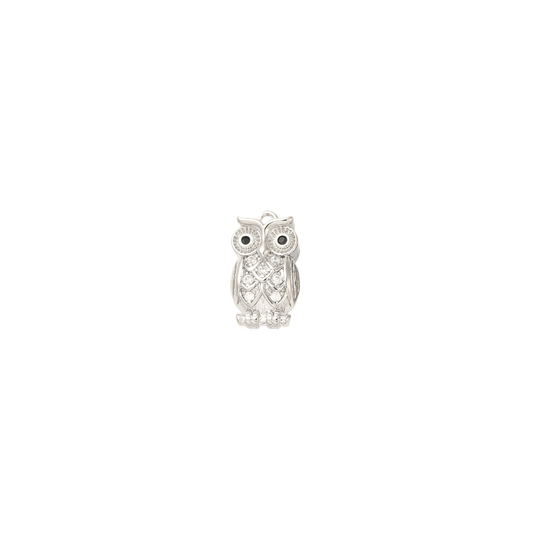 Front of Silver Owl Always Love You Charm