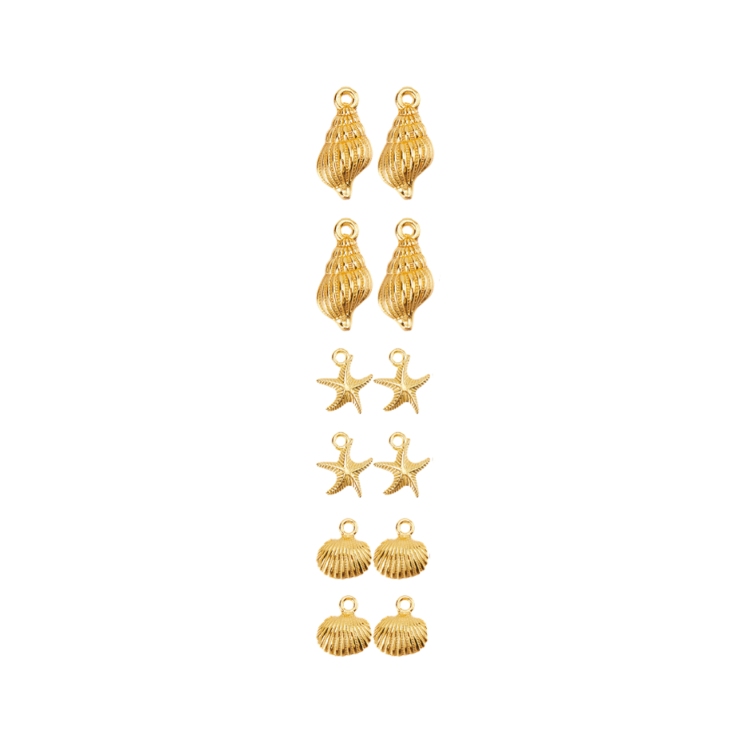 Front View of the Gold Beach Shells Charm | Assorted