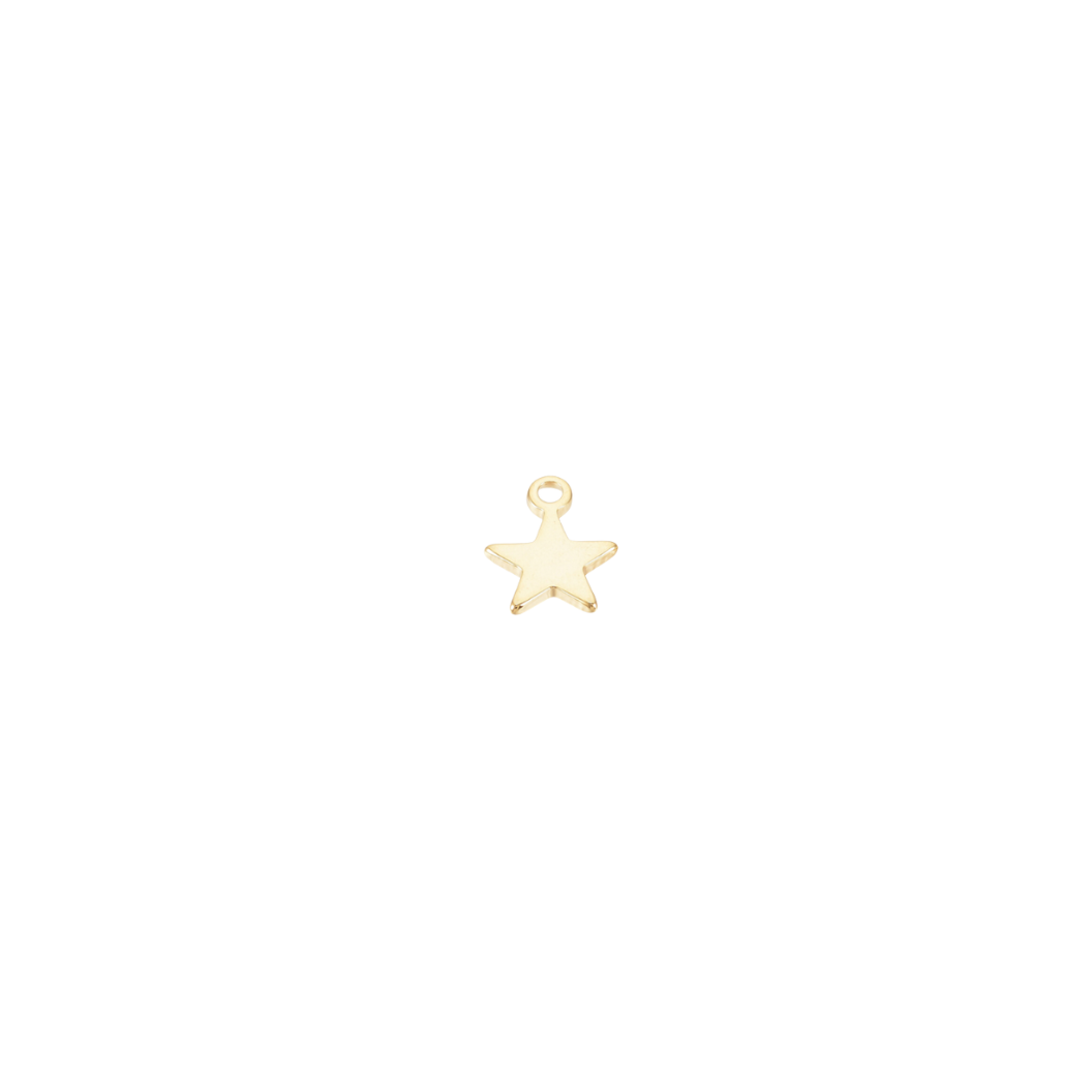 Front of Gold Tiny Star Charm