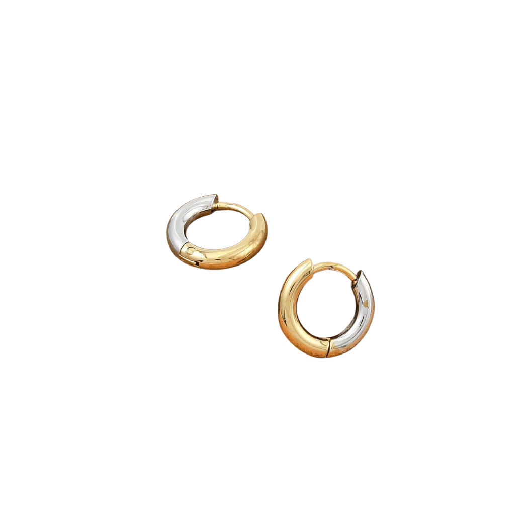 transparent photo of gold and silver earrings on white background