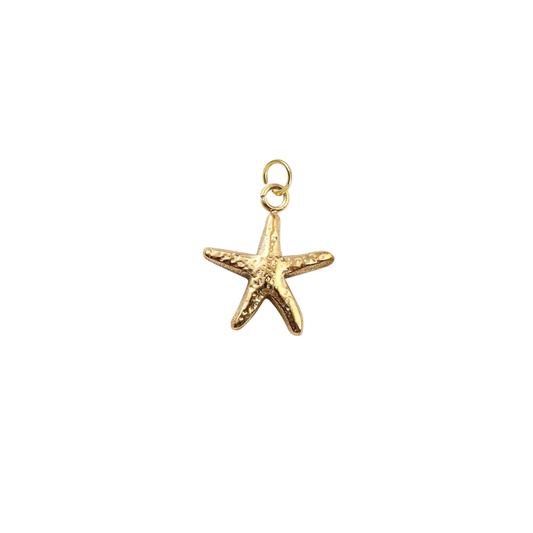 Gold Hammered Starfish Shell Charm