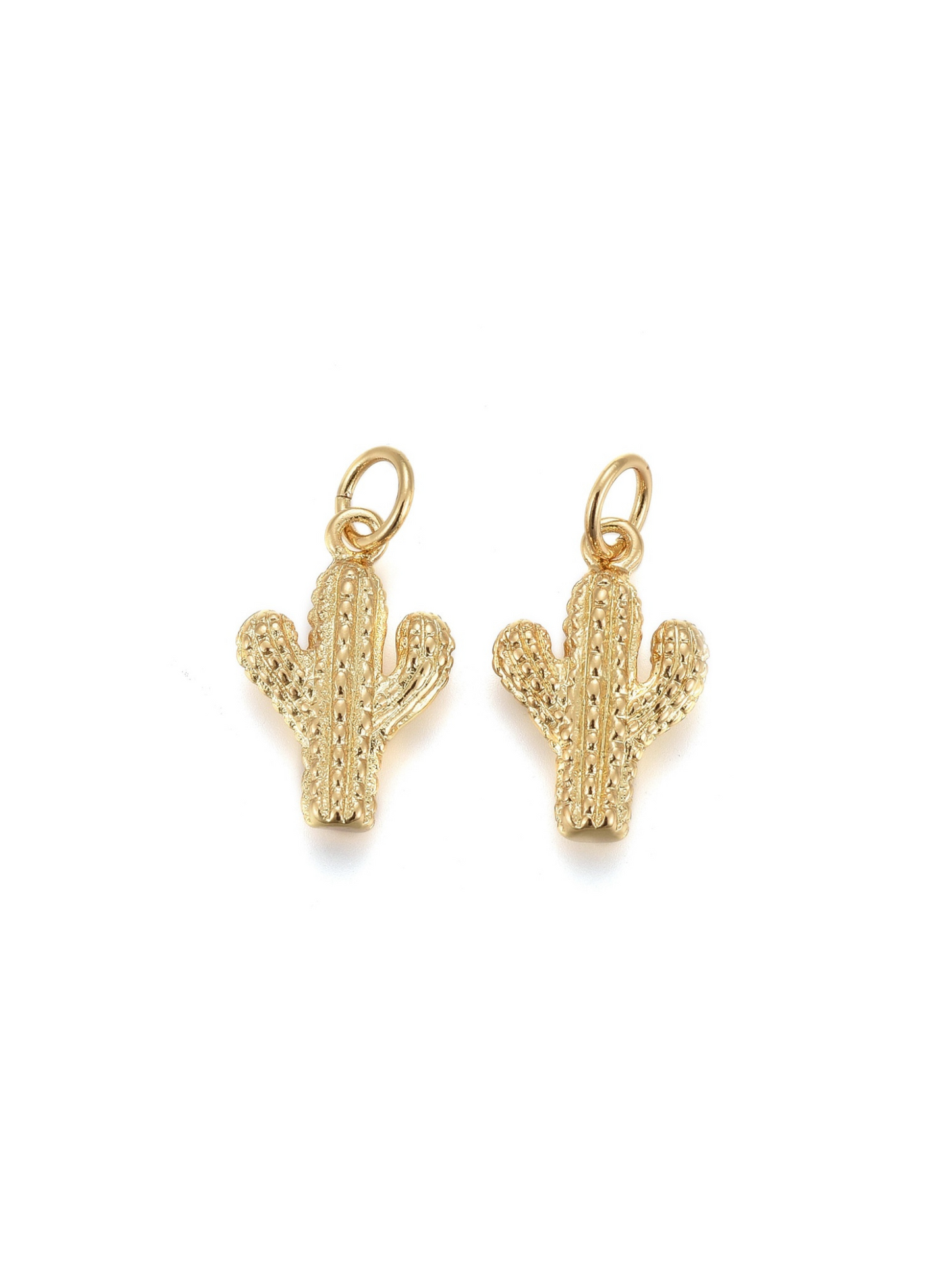 Two Cactus Cutie Charms on white background, front view.