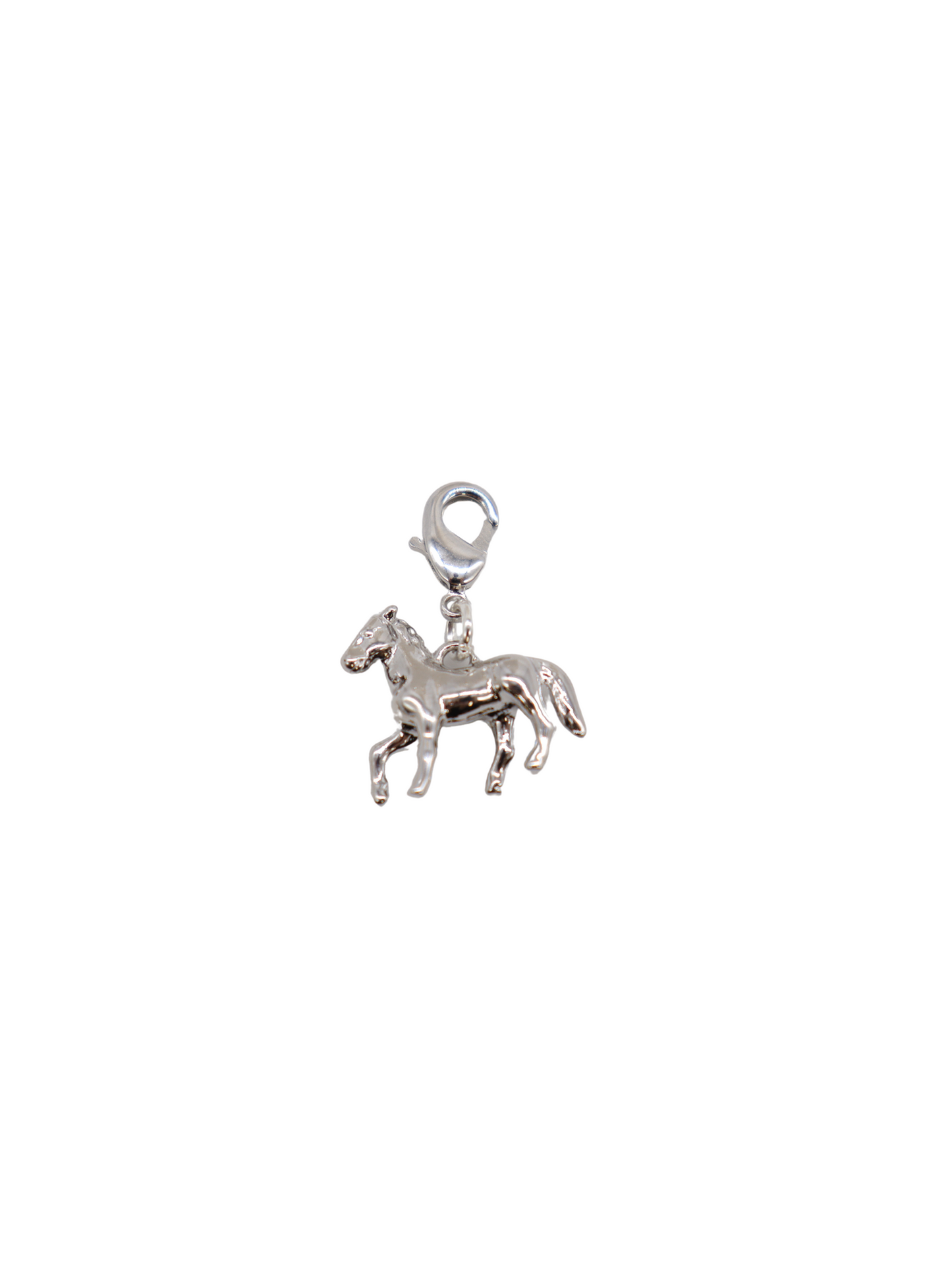 Silver Interchangeable Charm Clasp | Set of Five