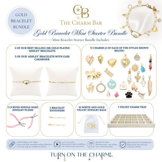 Gold Bracelet Mini Starter Bundle featuring 18K gold plated Ashley bracelets, Ashley bracelets with Gabi carabiners, 72 waterproof gold charms, bracelet extenders, jewelry pliers, a velvet display tray, and branded jewelry bags for creating custom charm bracelets in boutiques and retail stores.