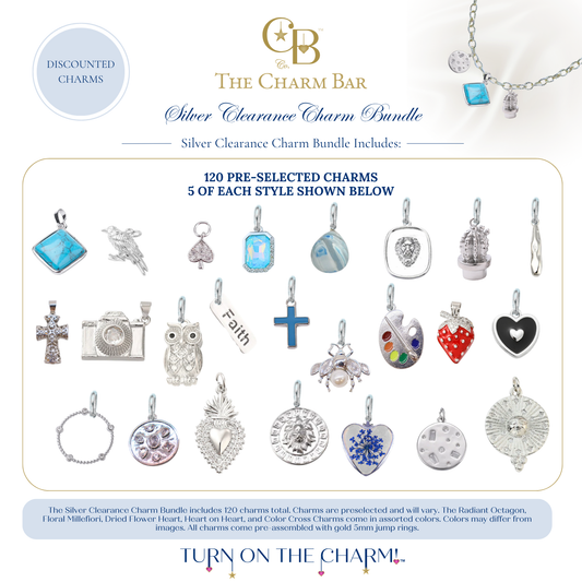 The Charm Bar Silver Clearance Charm Bundle featuring 120 pre-selected silver charms with five of each style. Includes assorted discounted charms such as turquoise stones, birds, lions, cacti, crosses, cameras, owls, bees, strawberries, artist palettes, hearts, crosses, religious charms, floral and celestial designs, snowflakes, sun medallions, gemstones, and statement pieces for creating custom charm necklaces and bracelets.